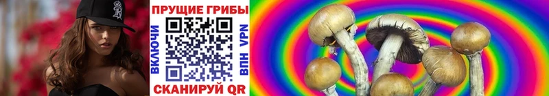 Галлюциногенные грибы прущие грибы дарнет шоп Добрянка